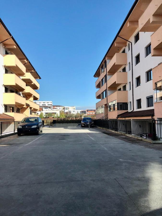 Garsoniera- Bulevard Dem Radulescu Râmnicu Vâlcea エクステリア 写真